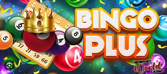 bingoplus casino